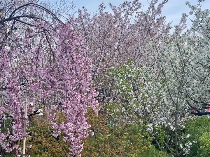 六孫王神社(京都府)