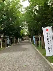 新琴似神社の建物その他