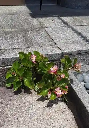 西方山極楽寺の自然