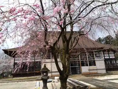 浄興寺(新潟県)