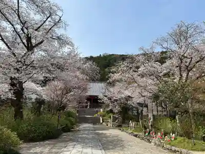 矢田寺観音堂(奈良県)