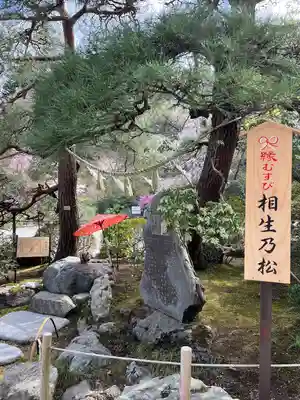 宝登山神社(埼玉県)
