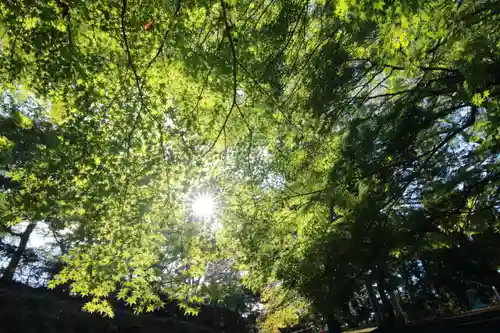 三春大神宮の自然