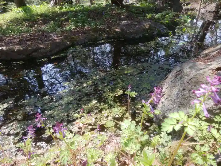 帯廣神社の自然