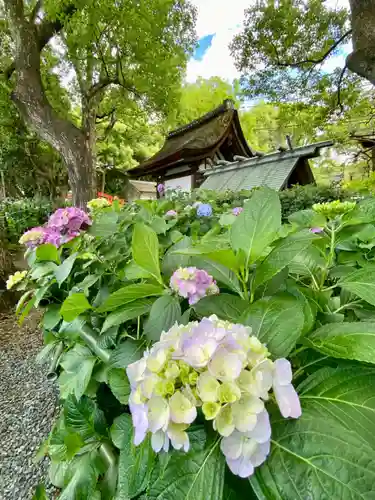 藤森神社のその他建物
