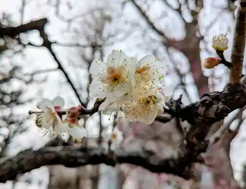 西向天神社(東京都)