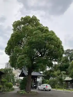 宗隆寺(神奈川県)