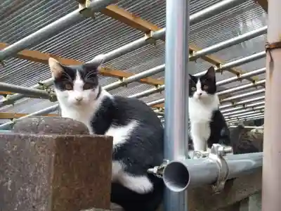 明竹稲荷宮　腰神不動神社(京都府)
