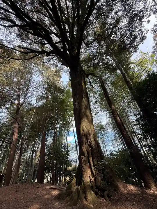志田宮神社(徳島県)