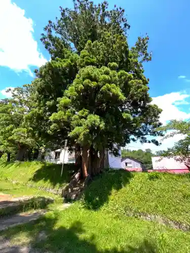 岩木山神社の自然