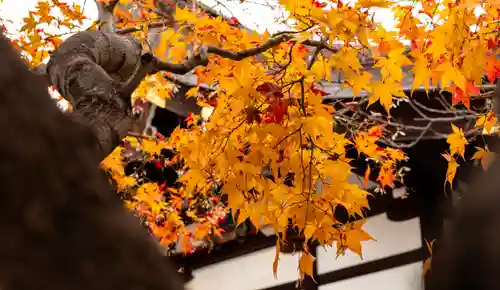 三輪神社(愛知県)