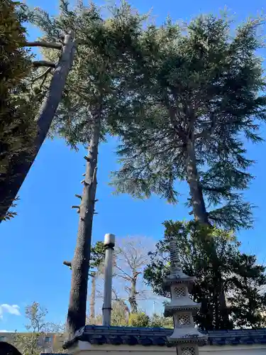 東光寺(東京都)