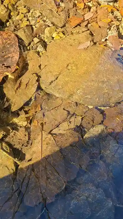 武蔵御嶽神社(東京都)