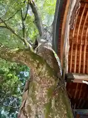 冨士山稲荷神社(長野県)