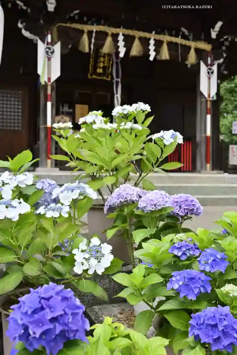 磐井神社の自然
