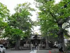 亀岡八幡宮（亀岡八幡神社）の本殿