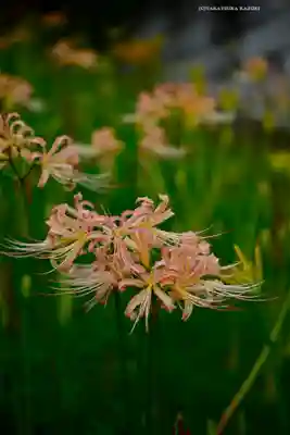 横浜　西方寺(神奈川県)