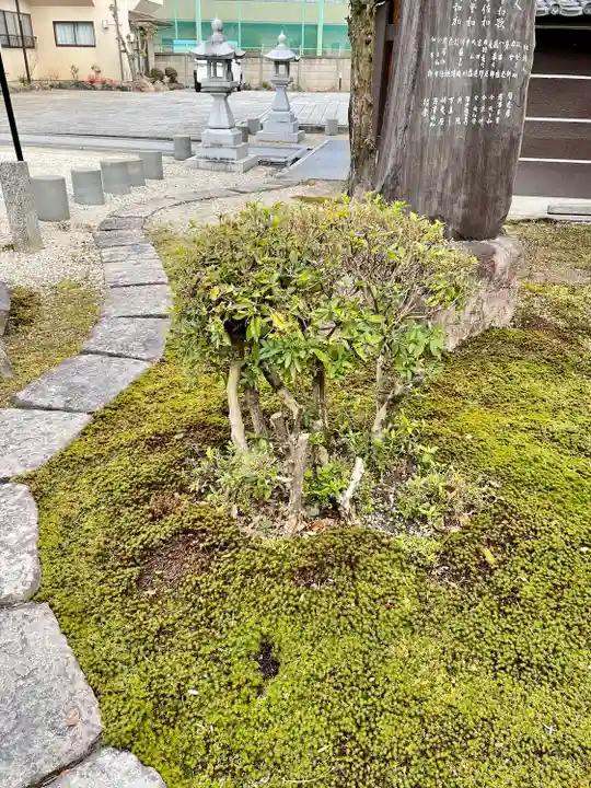 太閤山常泉寺(愛知県)