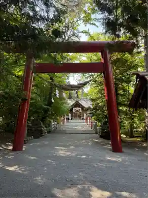 比布神社の鳥居