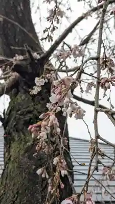 琳聖寺(京都府)