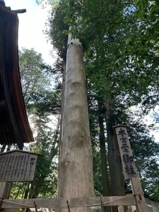 諏訪大社(長野県)