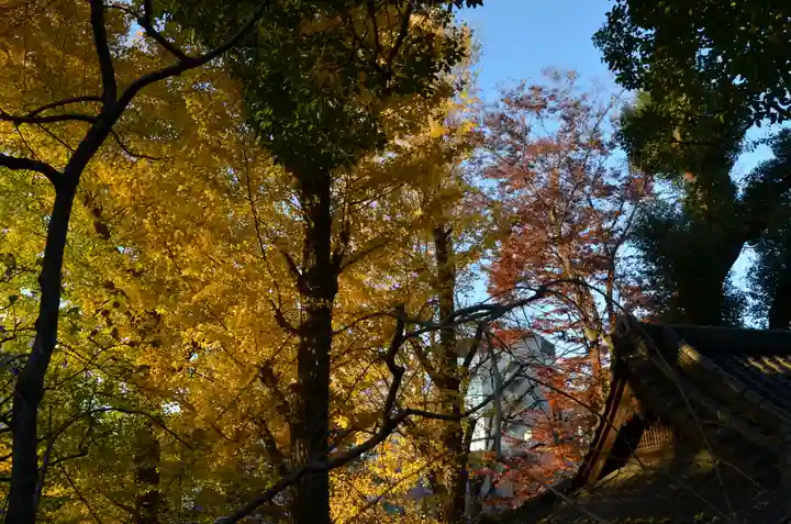 西向天神社の自然