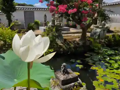 歓喜院(兵庫県)