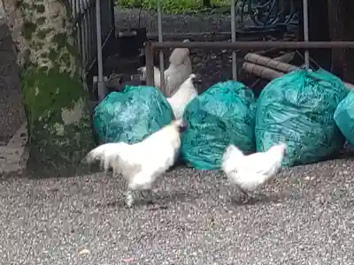 立坂神社(三重県)