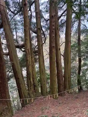 天岩戸神社　東本宮(宮崎県)