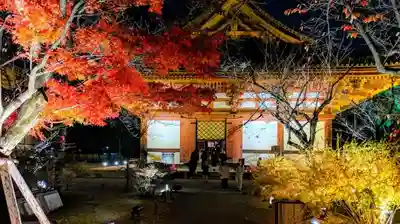 東寺（教王護国寺）のその他建物