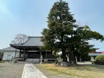 明照寺(滋賀県)