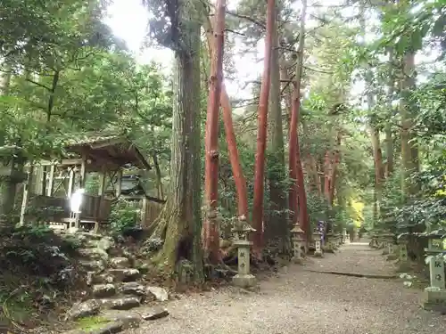 八幡神社（武芸八幡宮）の建物その他