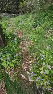 荏柄八幡社(東京都)