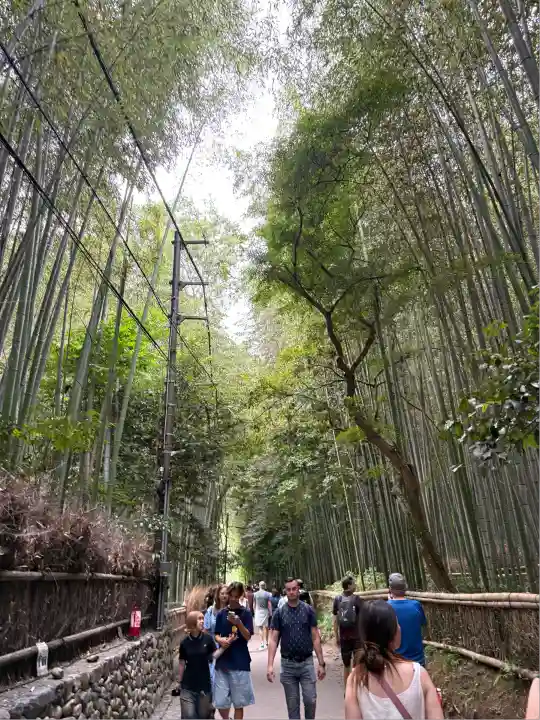 野宮神社(京都府)