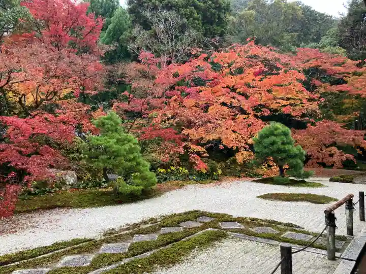 天授庵(京都府)