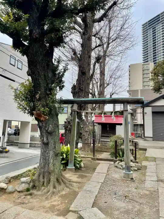 橋戸稲荷神社の{uncategorized: "未分類", other: "その他", undefined: "問題あり", building: "その他建物", grave: "お墓", sacred_gate: "鳥居", guardian: "狛犬", statue: "像", buddha: "仏像", history: "歴史", nature: "自然", garden: "庭園", animal: "動物", pagoda: "塔", temizu: "手水舎", mountain_gate: "山門・神門", sanctuary: "本殿・本堂", subordinate: "末社・摂社", art: "芸術", scenery: "景色", jizo: "地蔵", ema: "絵馬", goshuin: "御朱印", omikuji: "おみくじ", items: "授与品その他", amulet: "お守り", goshuincho: "御朱印帳", eats: "食事", festival: "お祭り", votive_dance: "神楽", shichigosan: "七五三参", wedding: "結婚式", experience: "体験その他", initially: "初詣", around: "周辺", anti_infection: "感染症対策"}