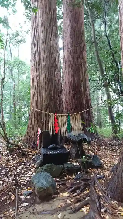 高千穂神社の自然