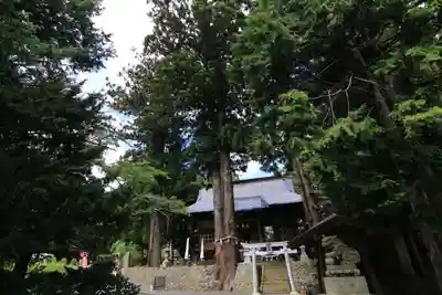 高司神社〜むすびの神の鎮まる社〜の本殿・本堂