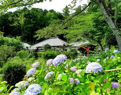 極楽寺(静岡県)