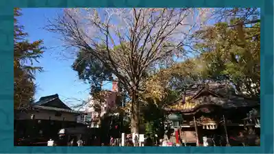 田無神社(東京都)