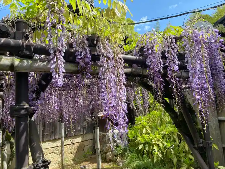 大雄院(京都府)