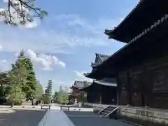 妙心寺（妙心禅寺）(京都府)