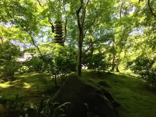 光明寺瑠璃光院の庭園