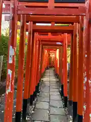 根津神社(東京都)