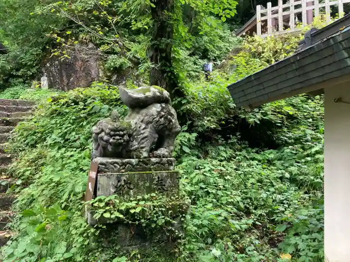 戸隠神社奥社(長野県)