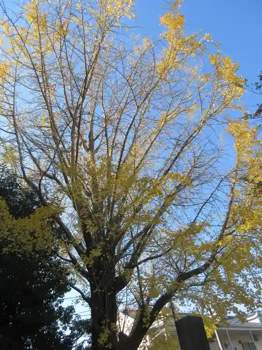 安國論寺(安国論寺)の自然