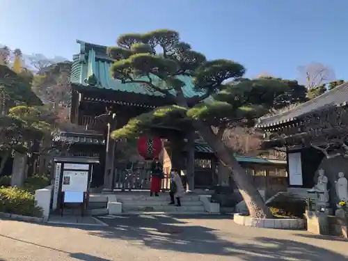 長谷寺の山門