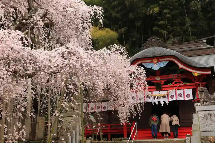 小川諏訪神社の本殿・本堂