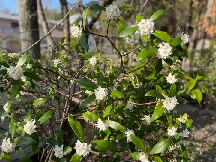 伊勢の国 四天王寺(三重県)