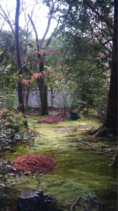 蓮華寺(洛北蓮華寺)(京都府)